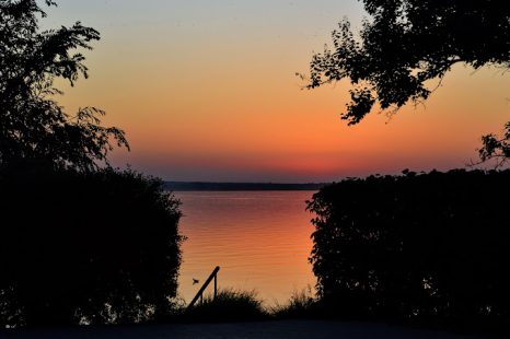gallery_img