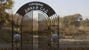 Археологічна пам’ятка “Дикий Cад”